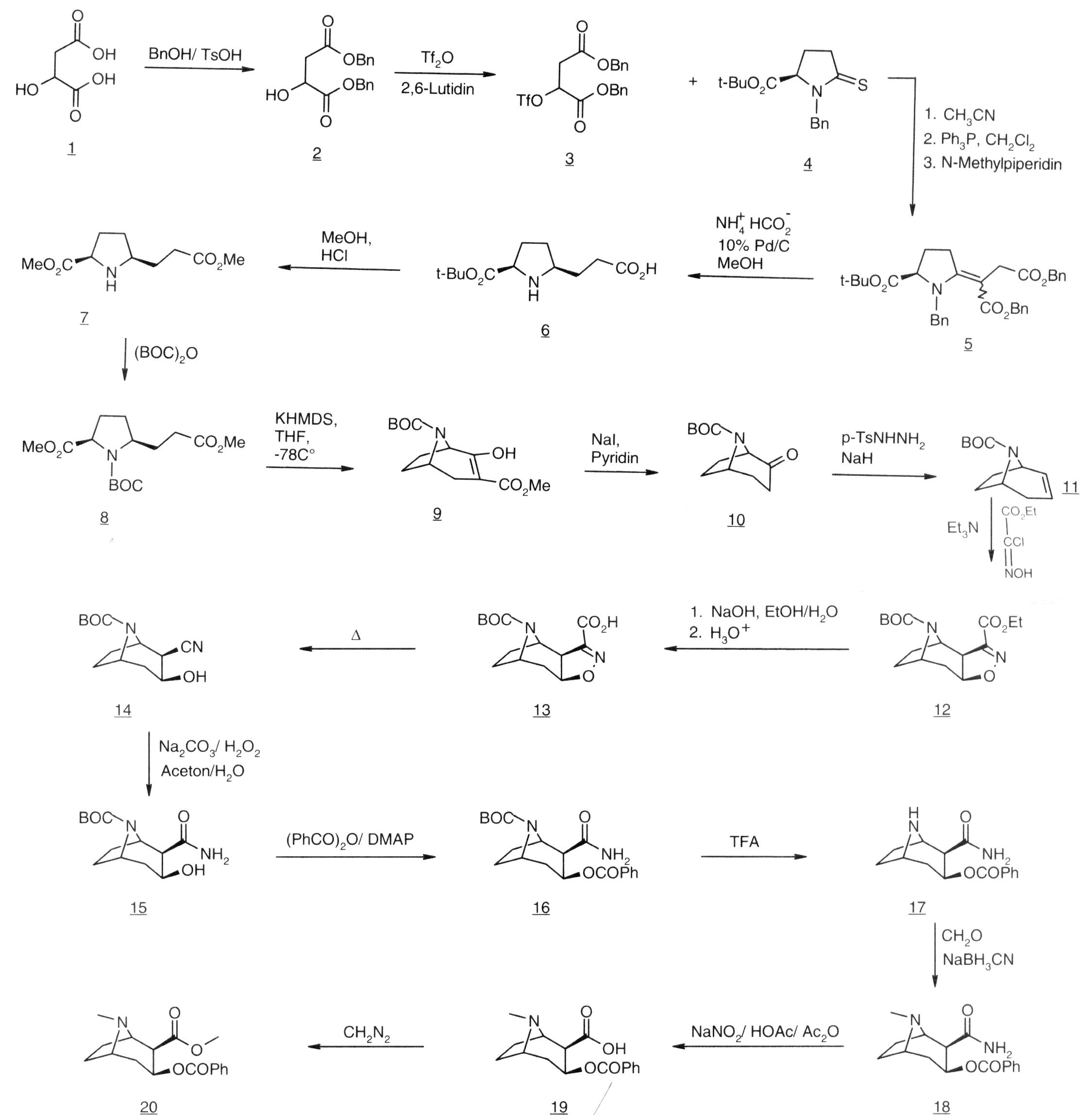 Reaktionsschema