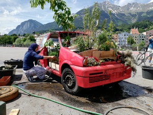 #gonowwhywait rotes auto am markplatz bepflanzt